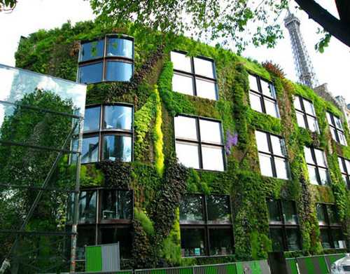El nuevo material podrá usarse como soporte y abono de techos verdes en edificios