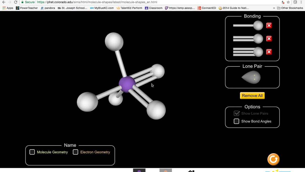 Молекула 32. Molecular Motors Phet.