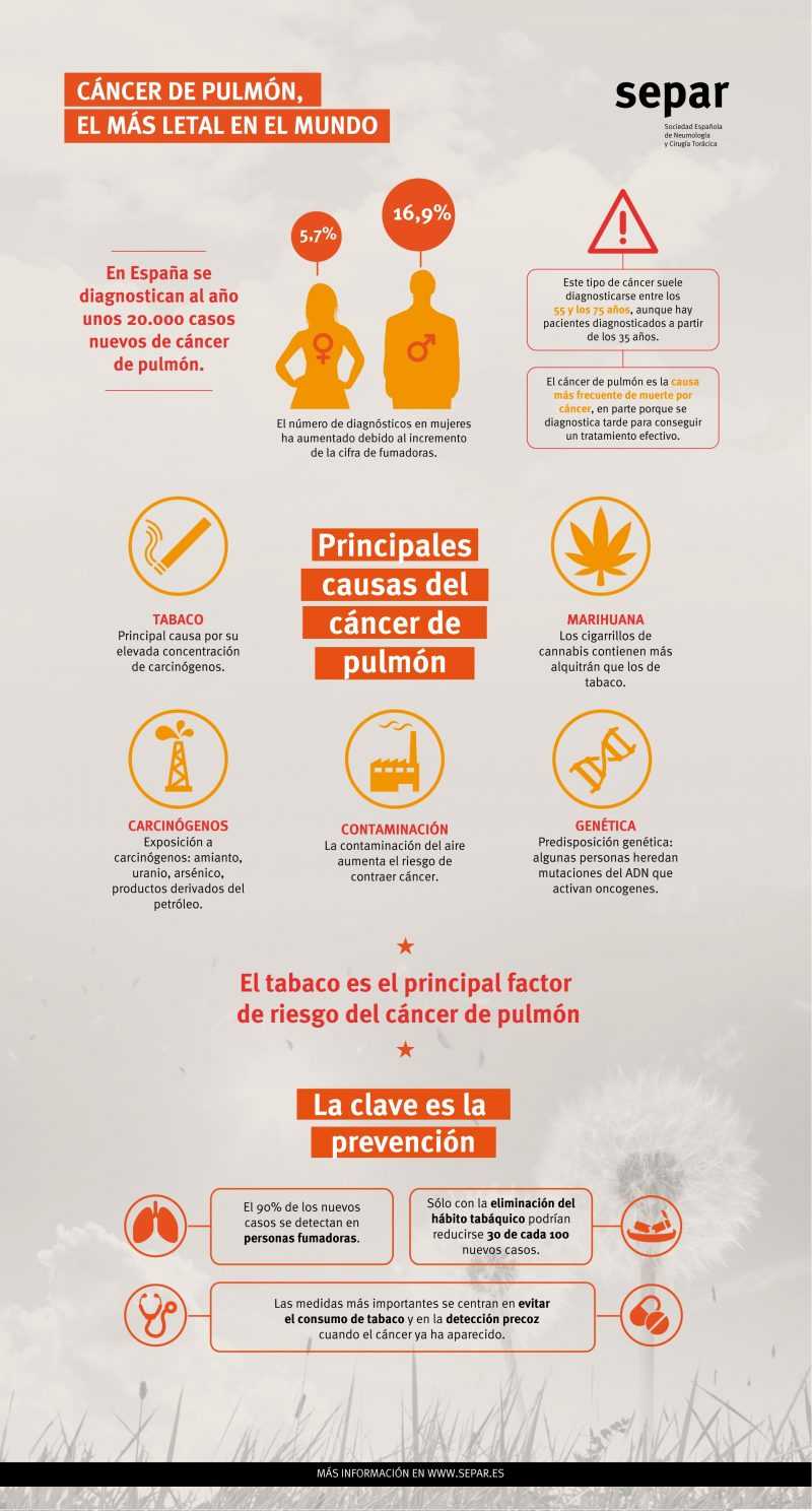 Infografía del cáncer de pulmón elaborada por la Sociedad Española de Neumología y Cirugía Toríxica, entidad colaboradora en el estudio.
