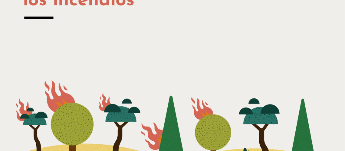 Fotografía ilustrativa del artículo