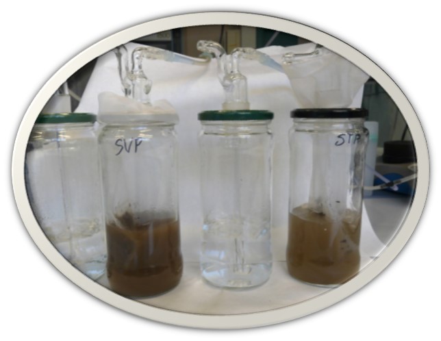 Extracción acuosa con aireación de los microorganismos resistentes o adaptados persistentes en muestras previamente a los fármacos y productos antimicrobianos.