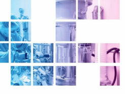 XV Congreso Mediterráneo de Ingeniería Química