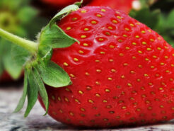 Los investigadores de la UCO han identificado una nueva proteína que controla la producción del color rojo en las fresas