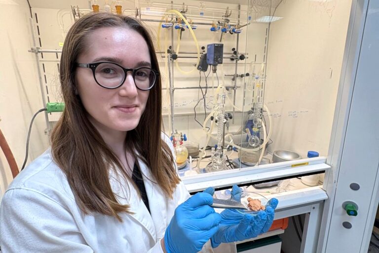 Fotografía ilustrativa del artículo