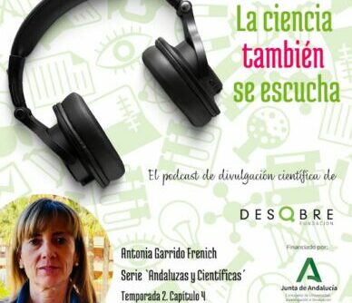 Fotografía ilustrativa del artículo