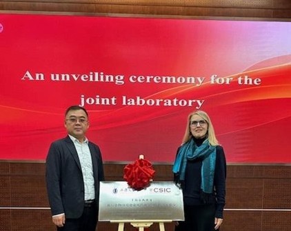 Fotografía ilustrativa del artículo