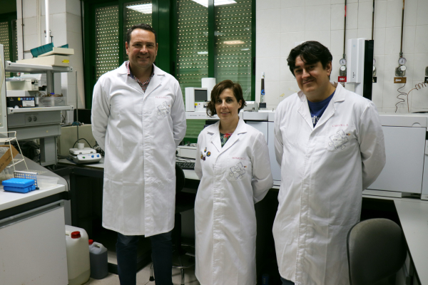 Fotografía ilustrativa del artículo