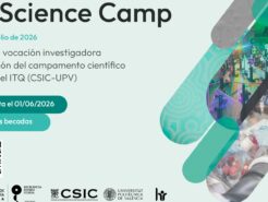 Fotografía ilustrativa del artículo