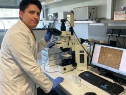 El investigador de la Universidad de Huelva Sebastián Sanabria Sanabria, en el laboratorio.