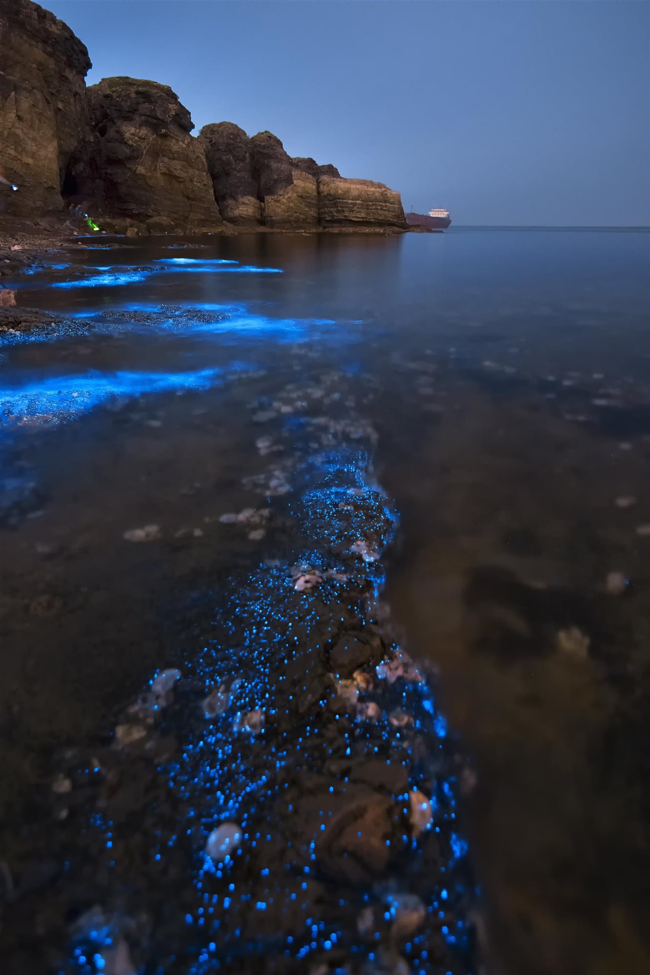En la imagen se aprecia el fen&oacute;meno de bioluminiscencia bacteriana en las costas de un acantilado. / Fotograf&iacute;a de Liang Binquan